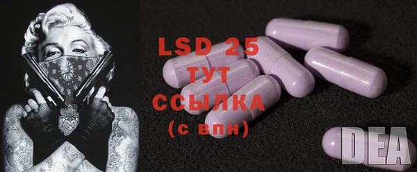 крисы Вязьма