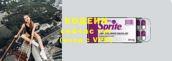 ешки Вяземский