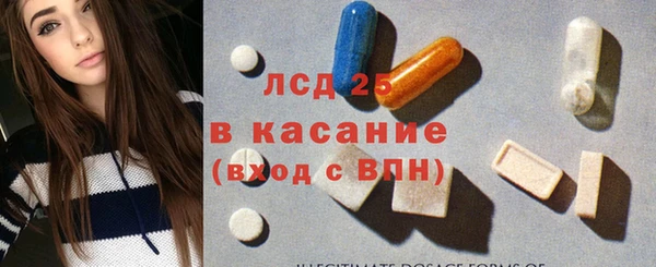 ГАЛЛЮЦИНОГЕННЫЕ ГРИБЫ Вязники