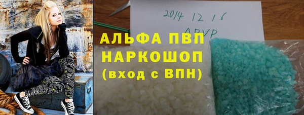ГАЛЛЮЦИНОГЕННЫЕ ГРИБЫ Вязники