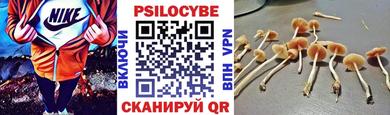 цены наркотик  Комсомольск  Псилоцибиновые грибы GOLDEN TEACHER 
